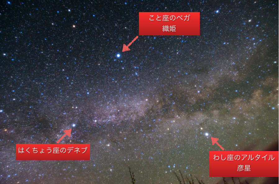 七夕に天の川は見えるのか 18年7月の天の川 星観測の見頃時間について 夏の大三角形 織姫 彦星 も要チェック ねこたび